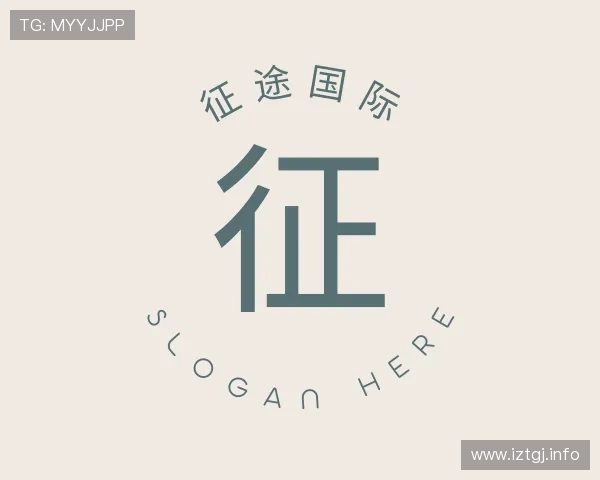 阐述征途国际